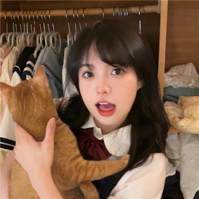 丢羊